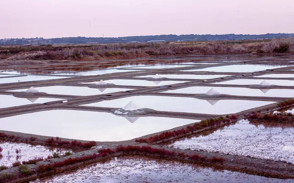 Salt Marsh Guerande — Stock Photo, Image