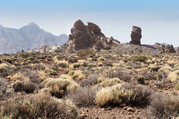 Roque Garcia Tenerife — Foto Stock