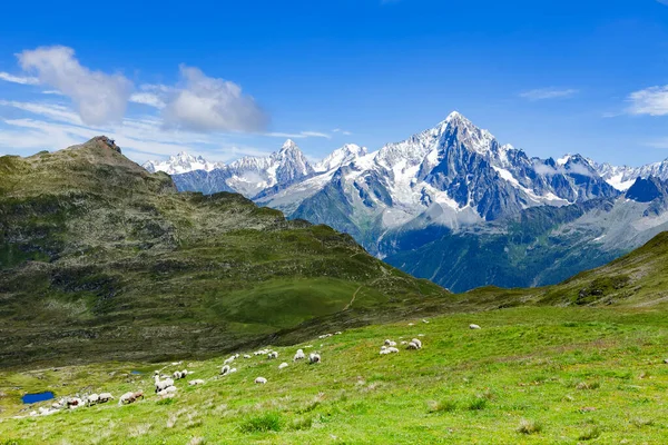 Schafe Und Berge Den Alpen lizenzfreie Stockbilder