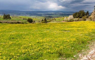 Compostela 'ya giden yolda manzara