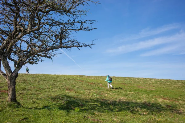 Gente Caminando Compostela —  Fotos de Stock