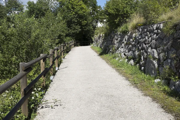 Country road — Stock Photo, Image