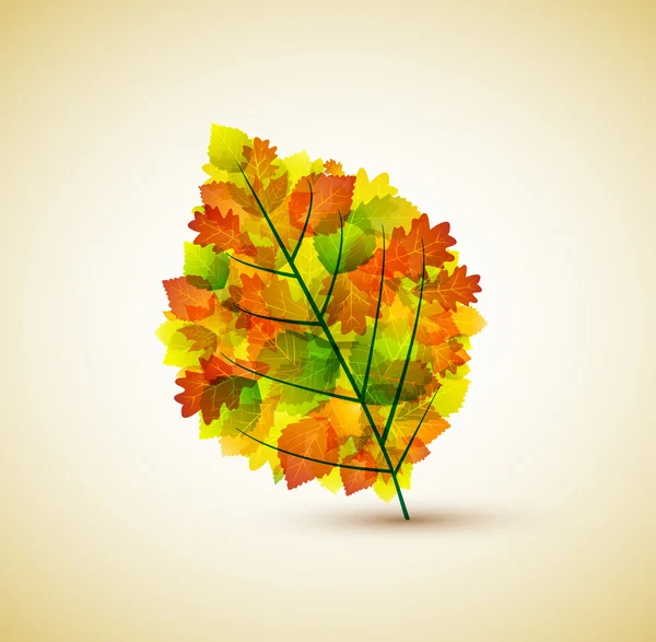 Autumnal leaf — Stock Vector