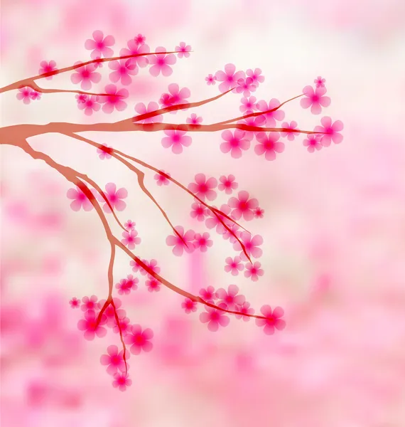 Sakura vagyok. — Stock Vector