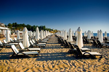 Oasis beach.