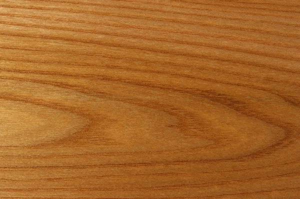 Målning av trä, elmtree. — Stockfoto