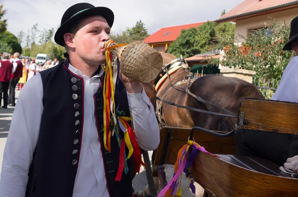 ごちそうだ 歌や踊りと伝統的な衣装の民俗祭り 日付26 2021 村South Moravia Czech Republic ストックフォト