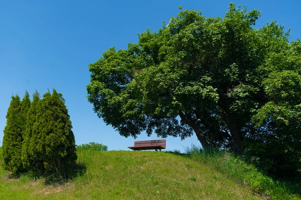 Panchina Sotto Gli Alberi Luogo Romantico Rilassarsi Nella Natura — Foto Stock