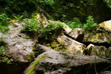 Nova rasovna adında doğal bir oluşum. Bu Bila voda adında bir akarsuyun batışı. Birlik Moravya, Güney Moravya, Çek Cumhuriyeti 'nde yer almaktadır..