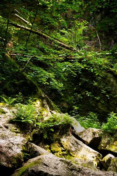 Una Formación Natural Llamada Nova Rasovna Este Hundimiento Arroyo Llamado —  Fotos de Stock