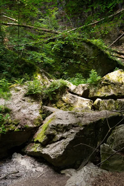 Een Natuurlijke Formatie Genaamd Nova Rasovna Dit Het Zinken Van — Stockfoto