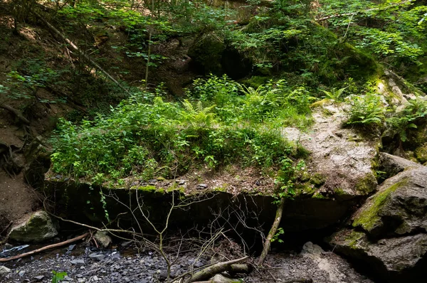 Natural Formation Called Nova Rasovna Sinking Stream Called Bila Voda — Stock fotografie