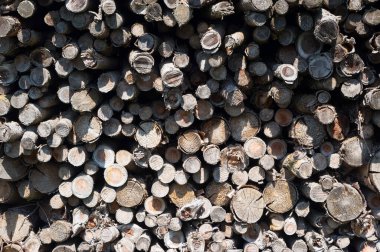 doğranmış ahşap Isıtma için ayrıntılı Görünüm hazır.