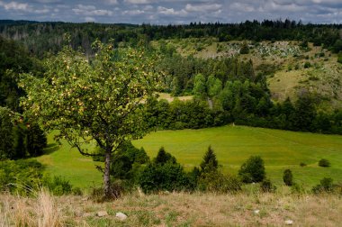 Summer in the Moravian Karst. Typical karst landscape. Moravian Karst, South Moravia, Czech Republic.