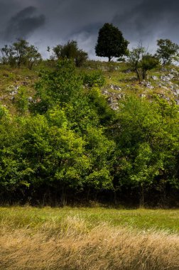 Summer in the Moravian Karst. Typical karst landscape. Moravian Karst, South Moravia, Czech Republic.