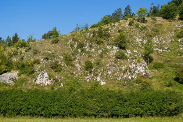 Summer Moravian Karst Typical Karst Landscape Moravian Karst South Moravia — Stok fotoğraf