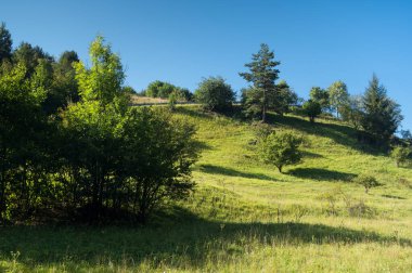 Summer in the Moravian Karst. Typical karst landscape. Moravian Karst, South Moravia, Czech Republic.