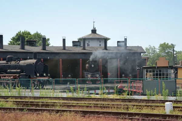 Железнодорожные, локомотивы в круглом доме — стоковое фото
