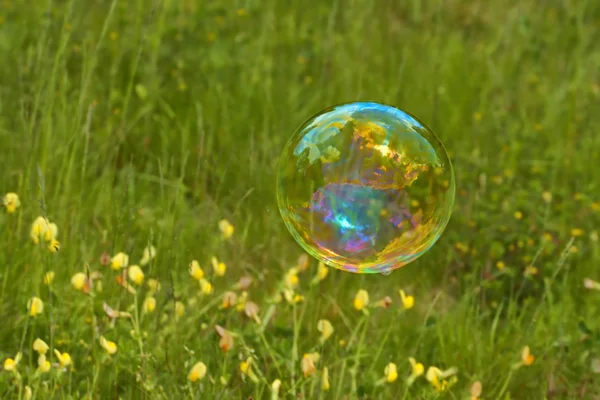 Soap bubble — Stock Photo, Image