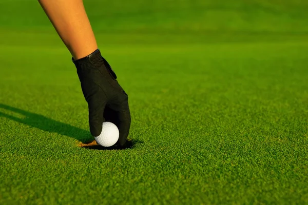 Гольф, рука гольфиста, достающий мяч в лунку — стоковое фото