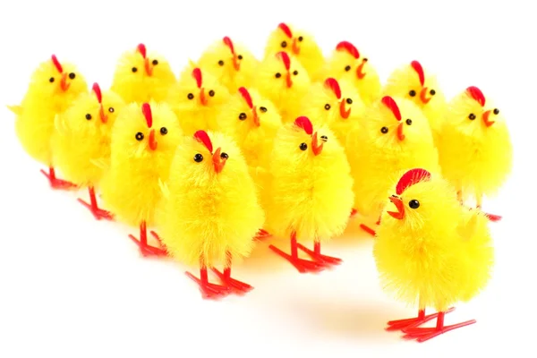 Easter chicks, white background — Stock Photo, Image