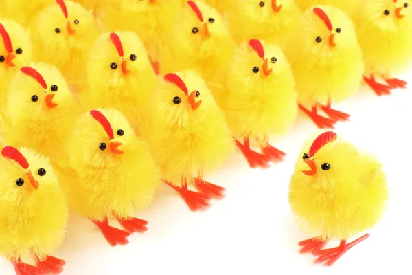 Easter chicks, white background — Stock Photo, Image