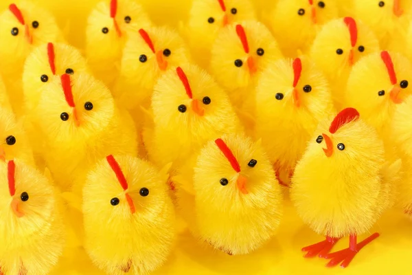 Easter chicks, as background — Stock Photo, Image