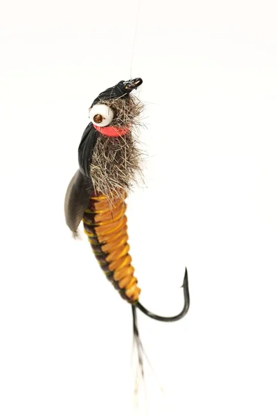 Fly fishing, bait — Stock Photo, Image