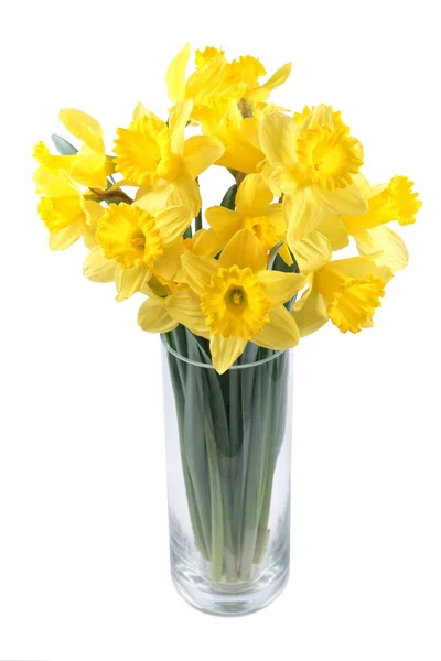 Narcisos en un jarrón de vidrio sobre un fondo blanco — Foto de Stock