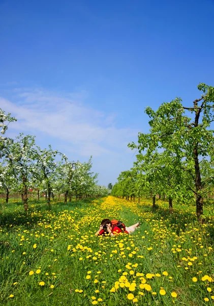 Orchard, female photographer, blooming apple trees, spring — Stock Photo, Image