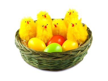 Paskalya yumurta ve tavuk sepette beyaz zemin üzerine