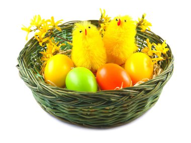 Paskalya yumurta ve tavuk sepette beyaz zemin üzerine