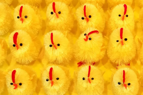 Easter chicks as background — Stock Photo, Image