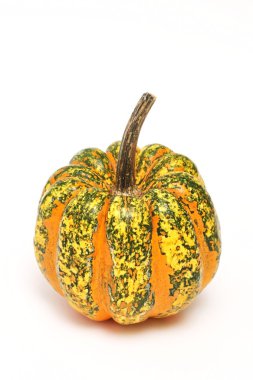 Beyaz arka plan üzerinde izole dekoratif kabak (cucurbita l.)