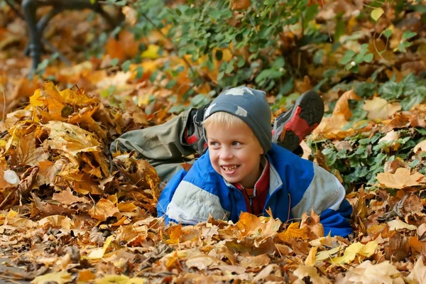 Boy, happy child playing in autumn leaves — Stock Photo, Image