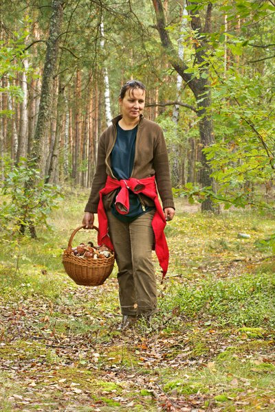 Mushrooming, woman picking mushrooms in the forest