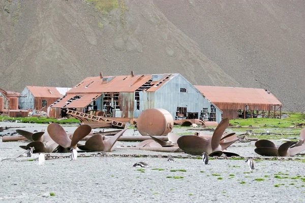 Ruinen alter Fabrik zur Verarbeitung von Walen — Stockfoto