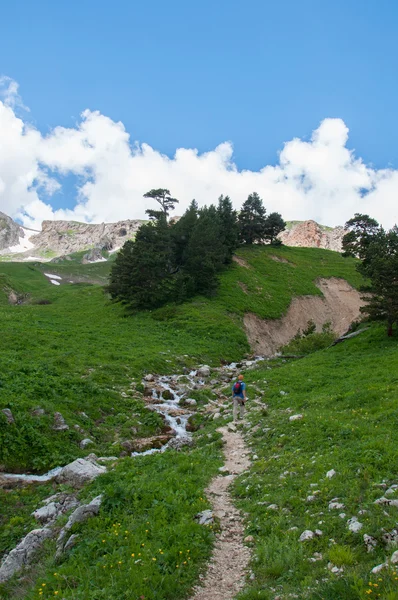 El magnífico paisaje montañoso de la Reserva Natural del Cáucaso — Foto de Stock