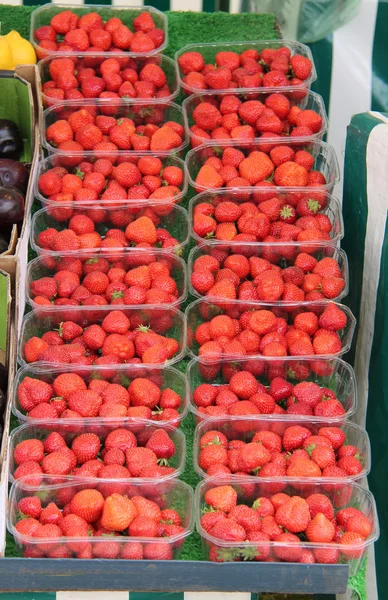 Erdbeeren zur Schau stellen. — Stockfoto