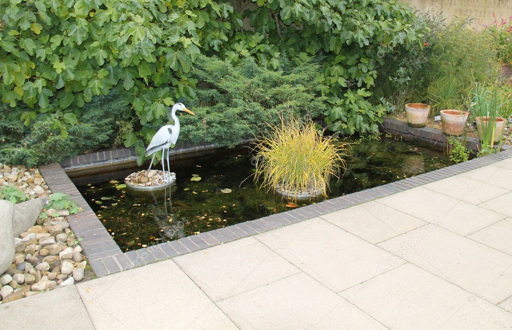 Garden Pond. — Stock Photo © daseaford 19866907