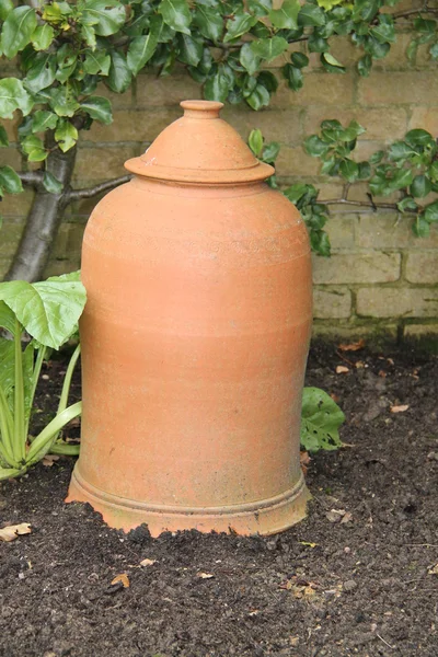 Terracotta Pot. — Stock Photo, Image