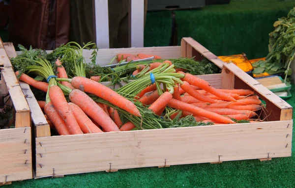 Zanahorias frescas . — Foto de Stock