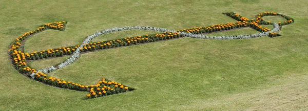 Âncora em um canteiro de flores . — Fotografia de Stock