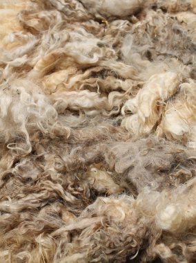 yün görüntüleme.