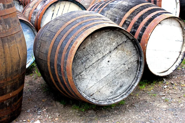 Barricas de roble . — Foto de Stock