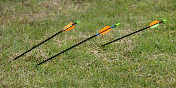 Three Archery Arrows. — Stock Photo, Image