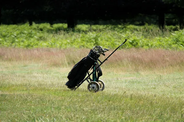 Тележка для гольфа . — стоковое фото