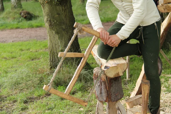 Holzsäge. — Stockfoto