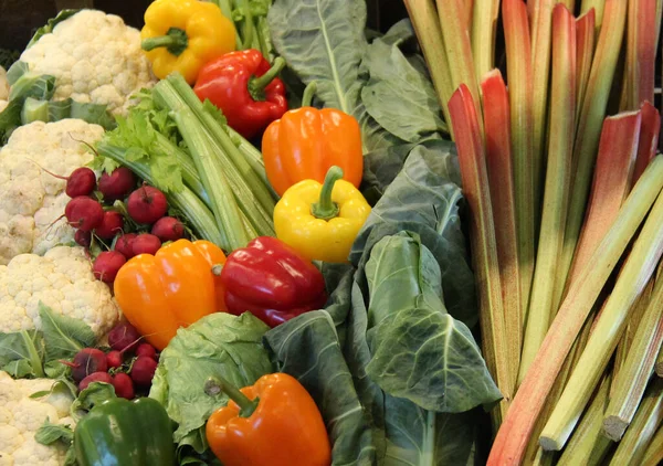 Ein Bunter Mix Aus Frisch Geerntetem Gemüse — Stockfoto