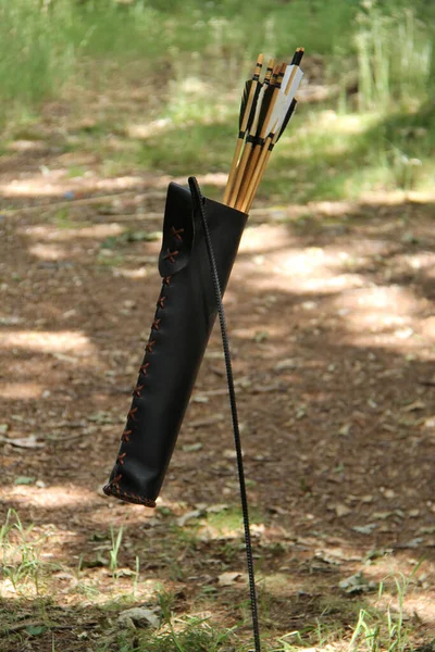 Leather Sleeve Holding Collection Archery Arrows —  Fotos de Stock
